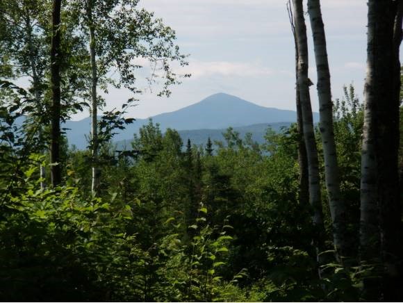Hunter Farm Road Dalton, NH 03598 - Photo 1 of 1