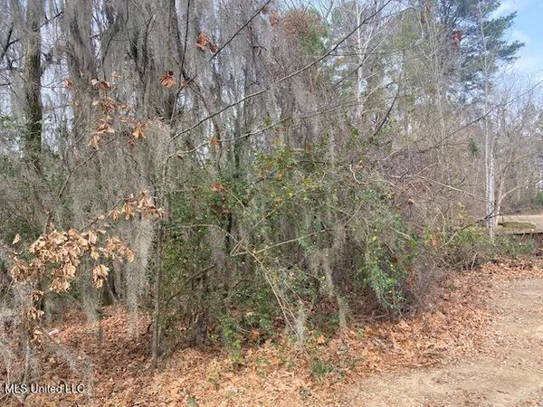 $33,900 | Dunlieth W Dunleith Way, Clinton, MS 39056