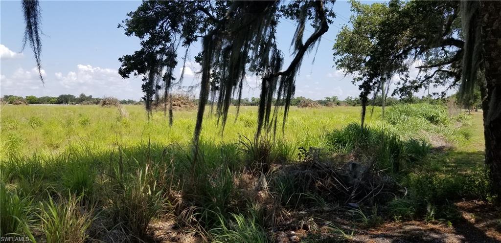 61370 Norris Road LaBelle, FL 33935 - Photo 2 of 12 Gallery Image 2