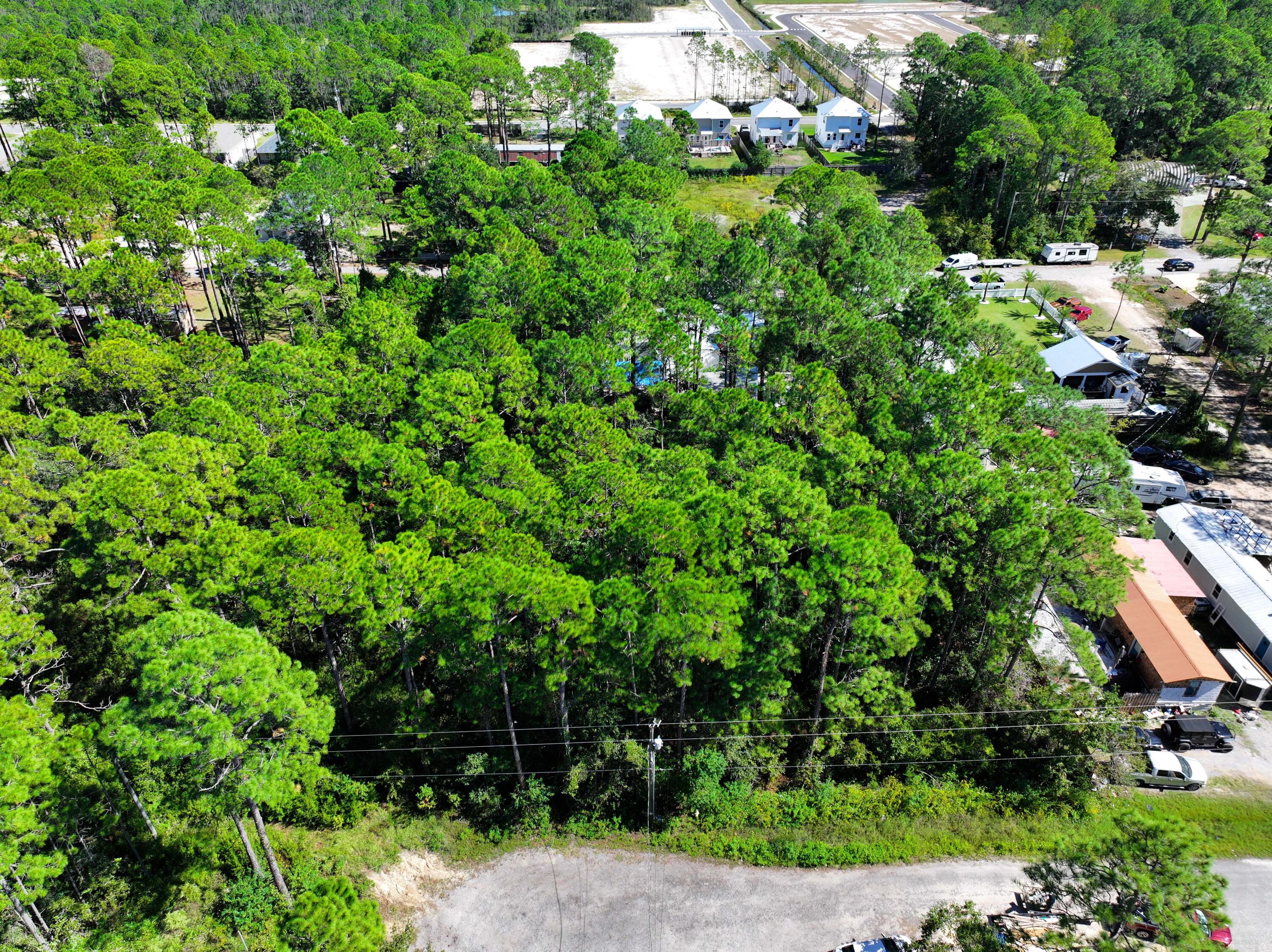 0 South 2nd Street Santa Rosa Beach, FL 32459 - Photo 3 of 13 a view of a garden with plants