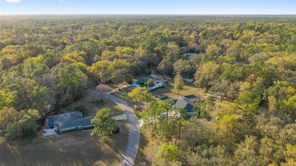 10043 Southwest 202nd Circle Dunnellon, FL 34431 - Photo 52 of 68