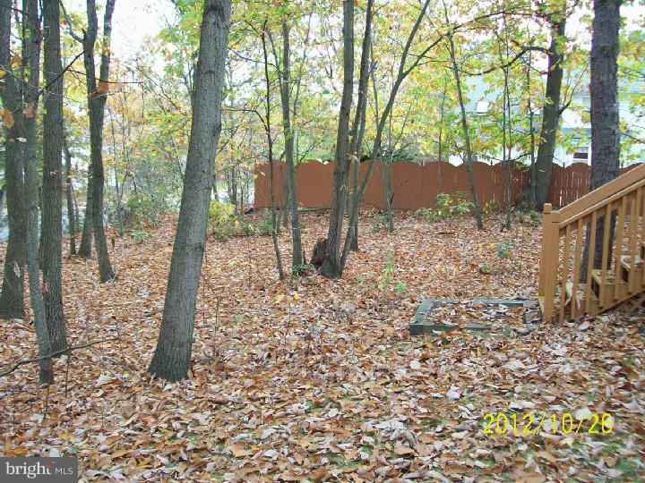 9 Goats Hill Road Sicklerville, NJ 08081 - Photo 6 of 13 Back Yard