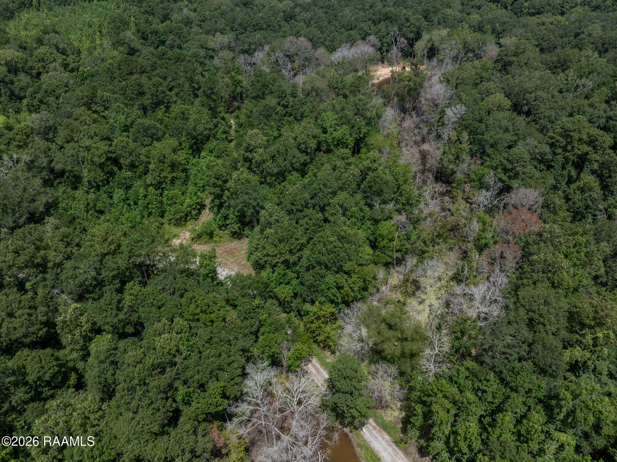 301 Crabapple Road Iota, LA 70543 - Photo 23 of 40 23-web-or-mls-DJI_20260630010149_0061_D