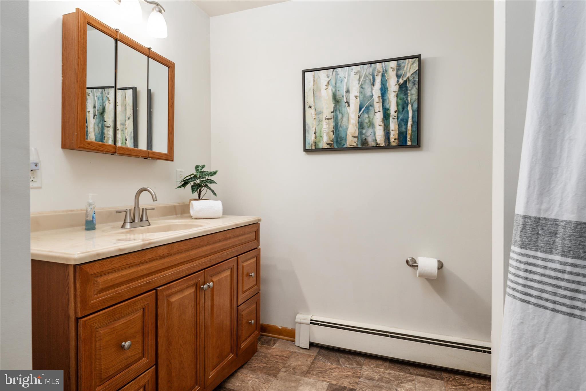 4305 Langrell Road Preston, MD 21655 - Photo 13 of 36 a bathroom with a sink and a mirror