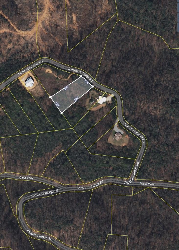 250 Sonshine Ridge Road Cosby, TN 37722 - Photo 13 of 15
