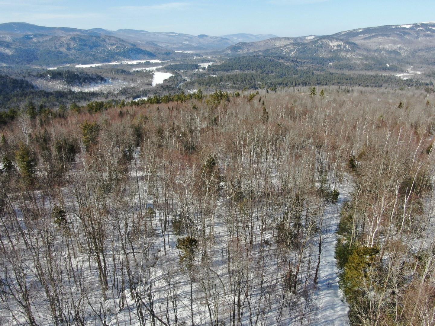 Tbd Tbd Holeman Road Rumford, ME 04276 - Photo 18 of 19 org_154454e068558909_1582532668000_1440x