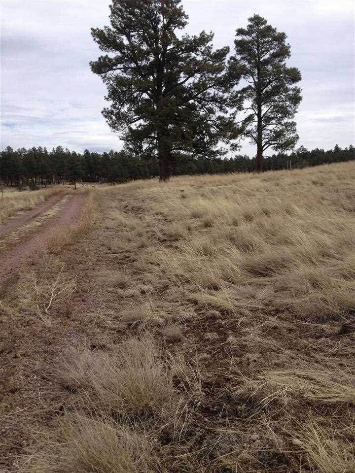 2260 St Alpine Az 85920 Alpine, AZ 85920 - Photo 3 of 6