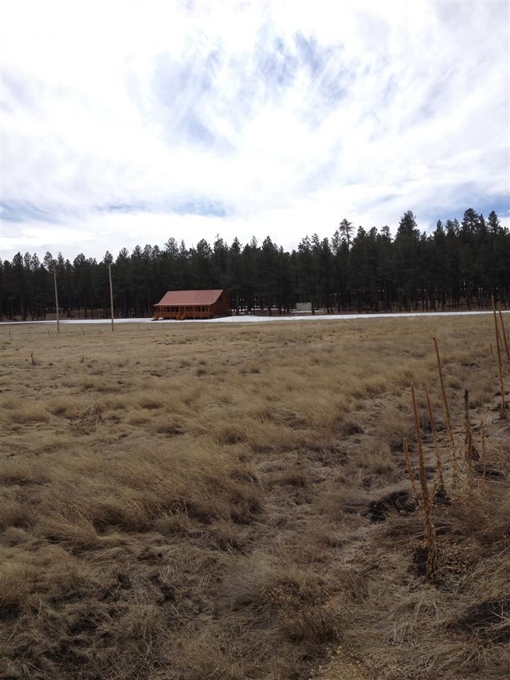 2260 St Alpine Az 85920 Alpine, AZ 85920 - Photo 4 of 6