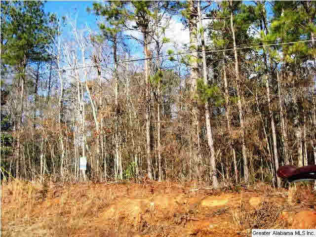 0 Coleman Street, Unit 55 AC Heflin, AL 36264 - Photo 5 of 6