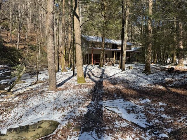 5411 Turniptown Road Ellijay, GA 30536 - Photo 49 of 51 Gallery Image 49