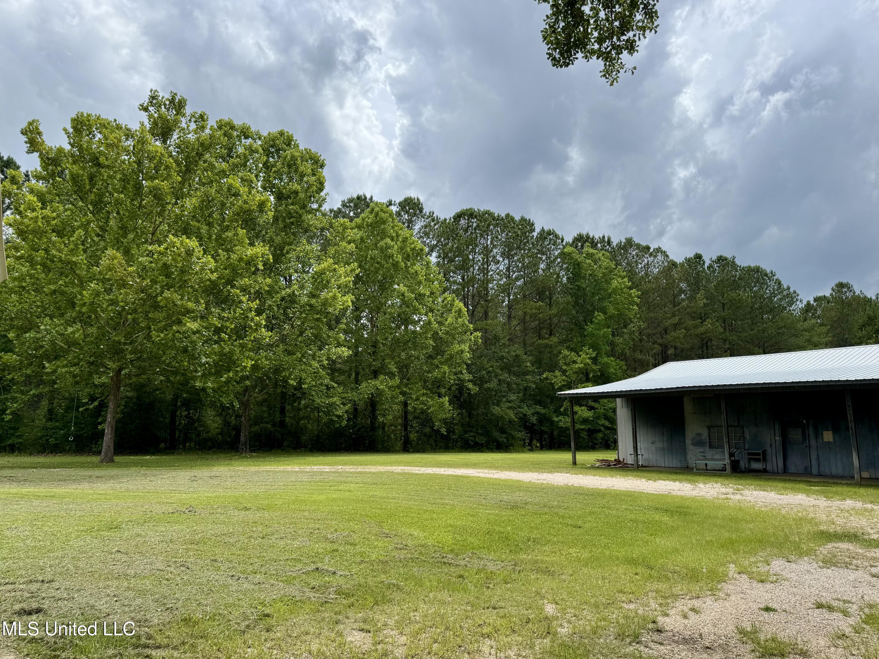 1104 County Road 266 Shubuta, MS 39360 - Photo 5 of 20 IMG_6099