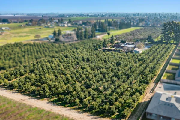 $899,950 | 19282 East South Avenue, Reedley, CA 93654