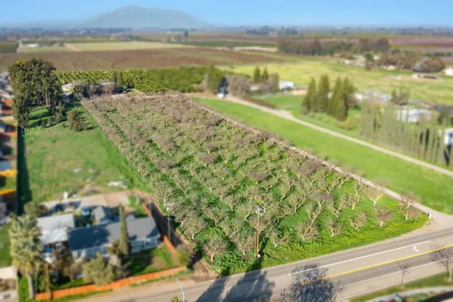 $950,000 | 19282 East South Avenue, Reedley, CA 93654