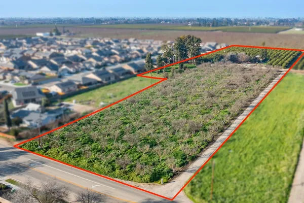a view of yard with green space