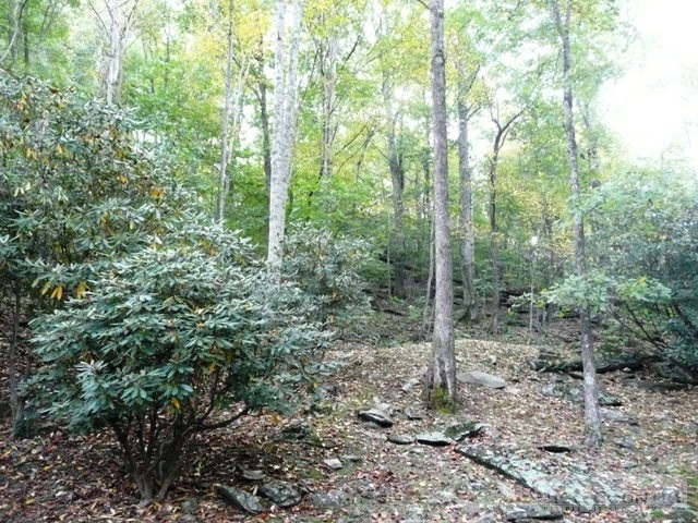 515 Birch Road Boone, NC 28607 - Photo 14 of 22 Gallery Image 14