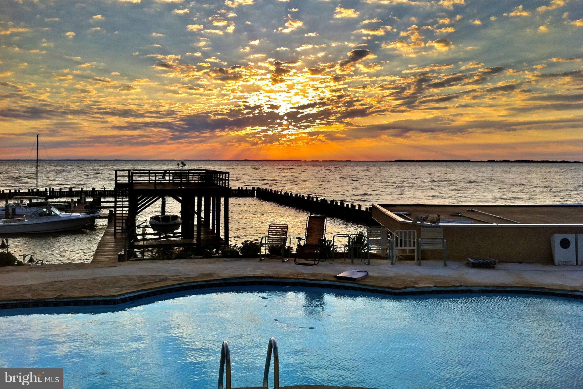 1303 Rogers Road, Unit 8 Annapolis, MD 21409 - Photo 7 of 19 pool, pier and sun deck overlooking Chesapeake