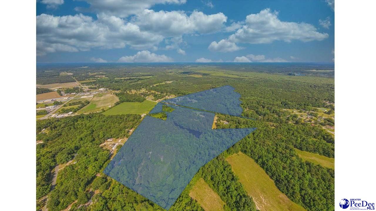 0 Diamond Branch Road Johnsonville, SC 29555 - Photo 1 of 1 Gallery Image 1
