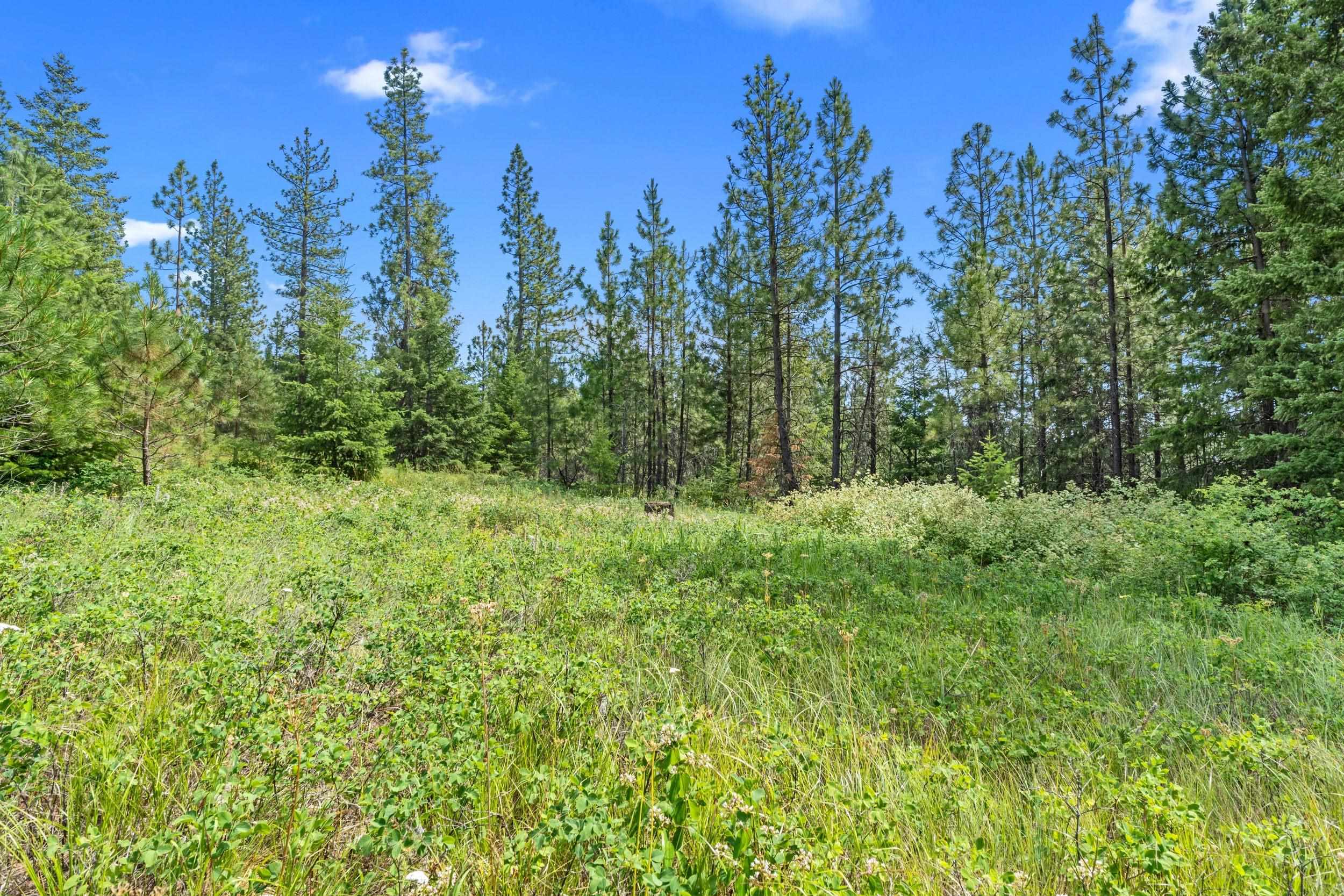 Nka East Belmont Road Mica, WA 99023 - Photo 11 of 50
