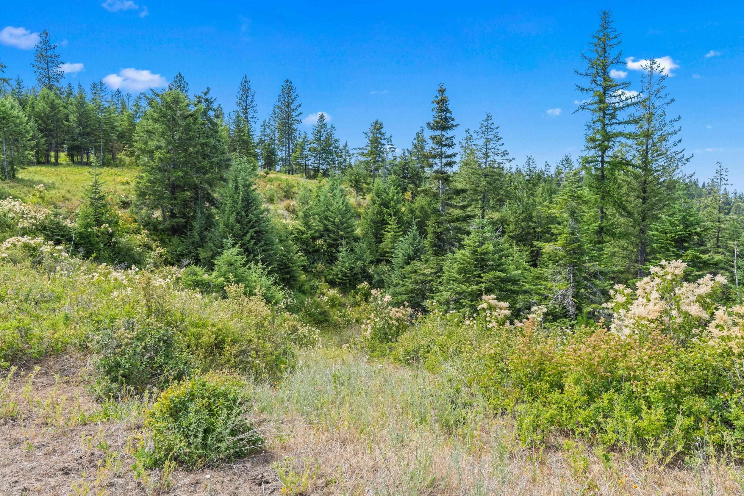 Nka East Belmont Road Mica, WA 99023 - Photo 14 of 50
