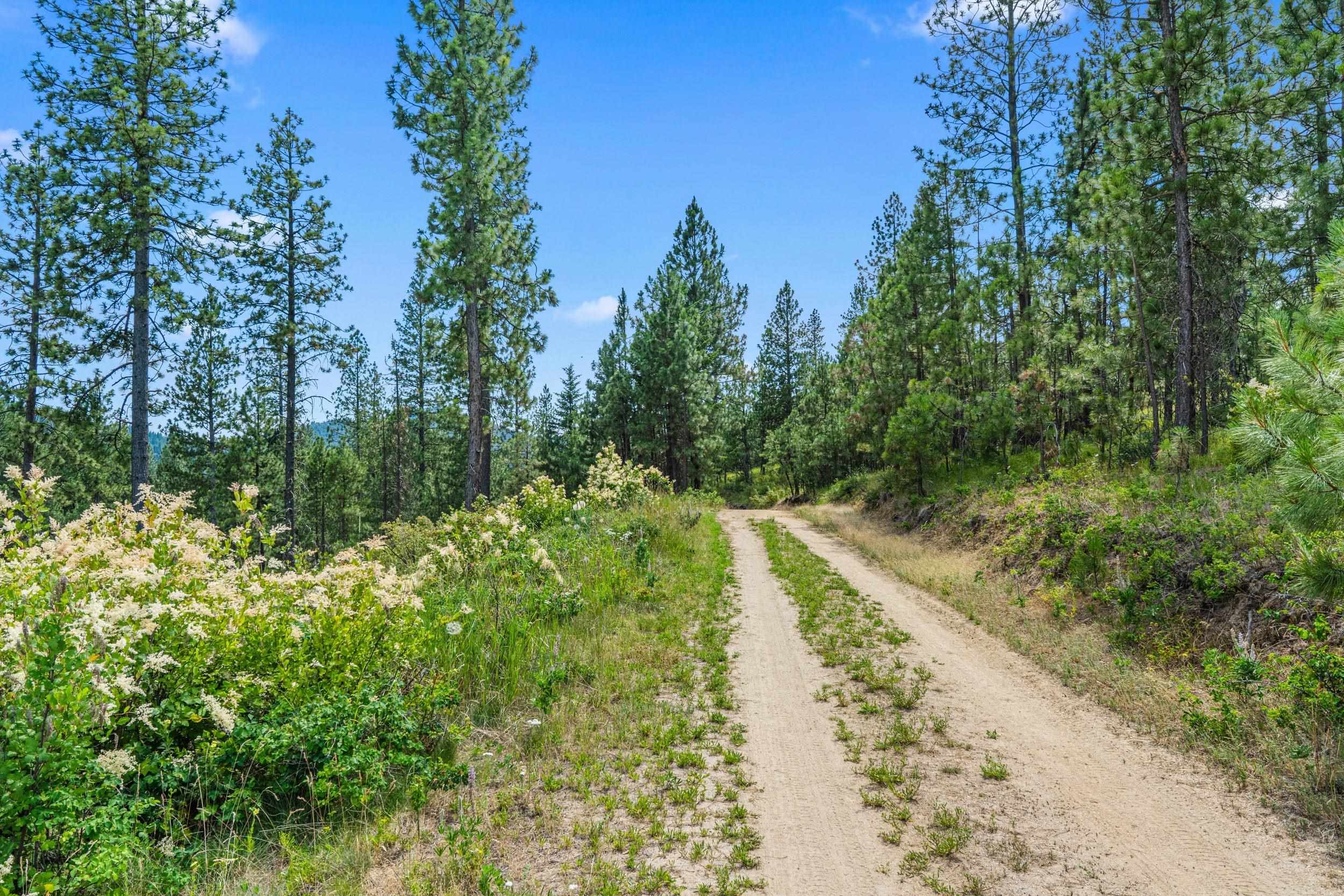 Nka East Belmont Road Mica, WA 99023 - Photo 15 of 50
