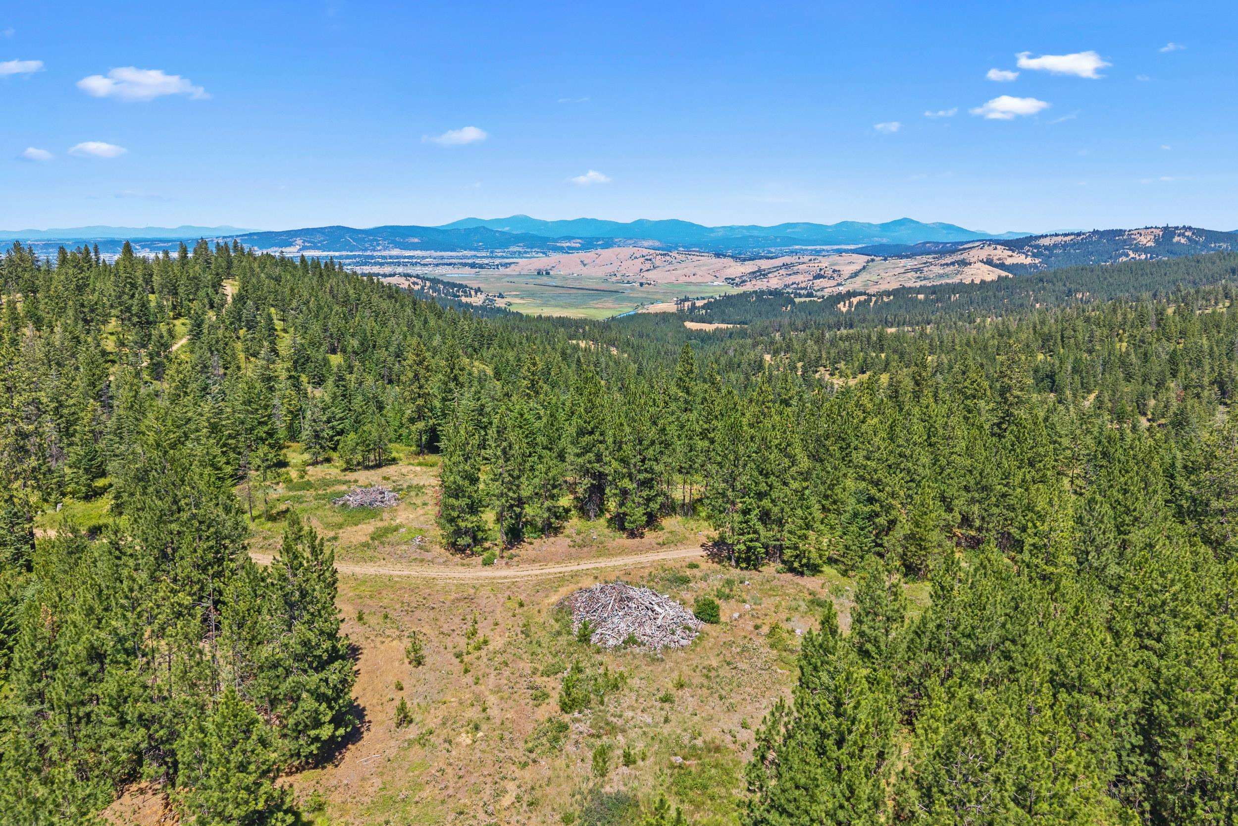 Nka East Belmont Road Mica, WA 99023 - Photo 16 of 50