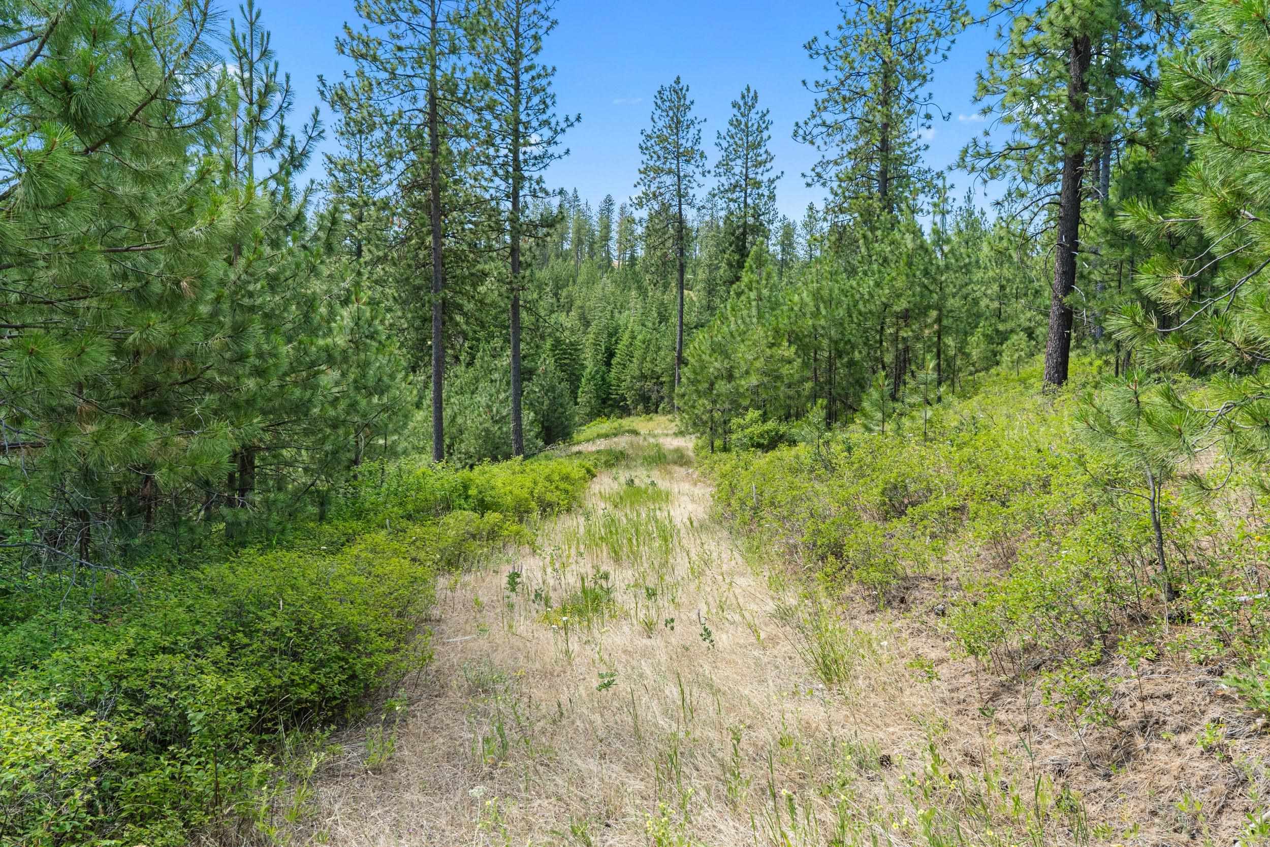 Nka East Belmont Road Mica, WA 99023 - Photo 20 of 50