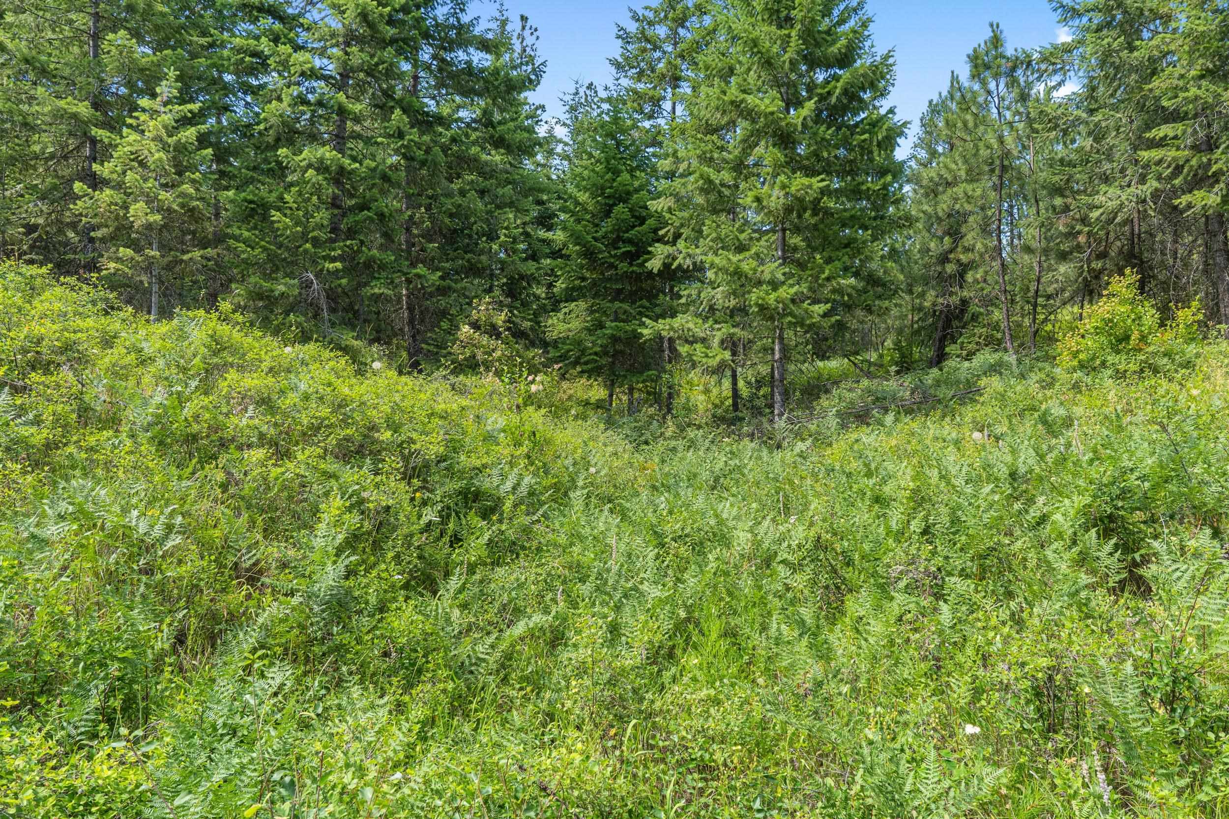 Nka East Belmont Road Mica, WA 99023 - Photo 21 of 50