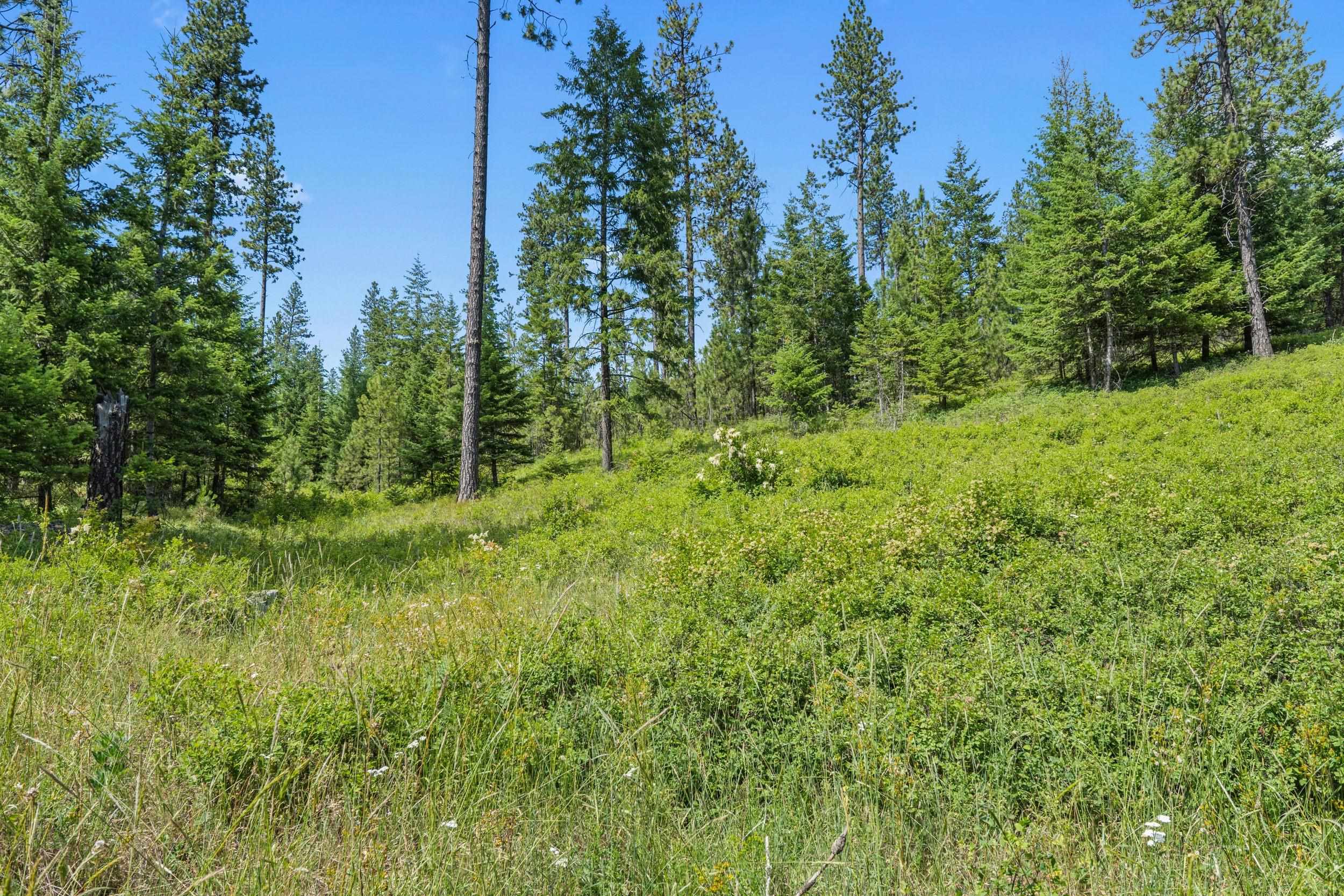 Nka East Belmont Road Mica, WA 99023 - Photo 22 of 50