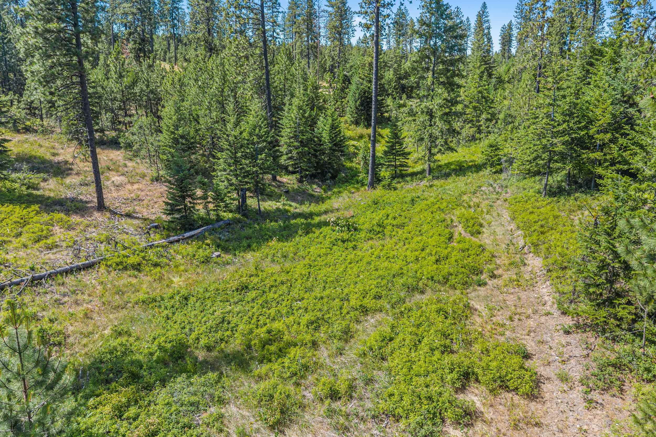 Nka East Belmont Road Mica, WA 99023 - Photo 24 of 50