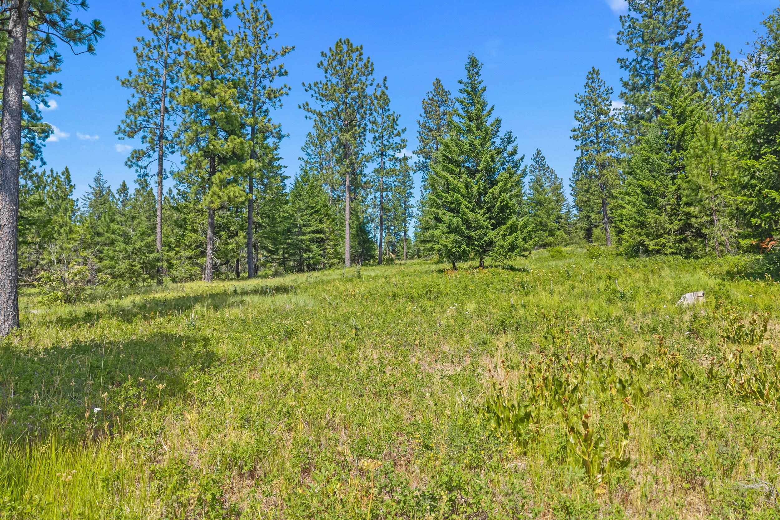 Nka East Belmont Road Mica, WA 99023 - Photo 25 of 50