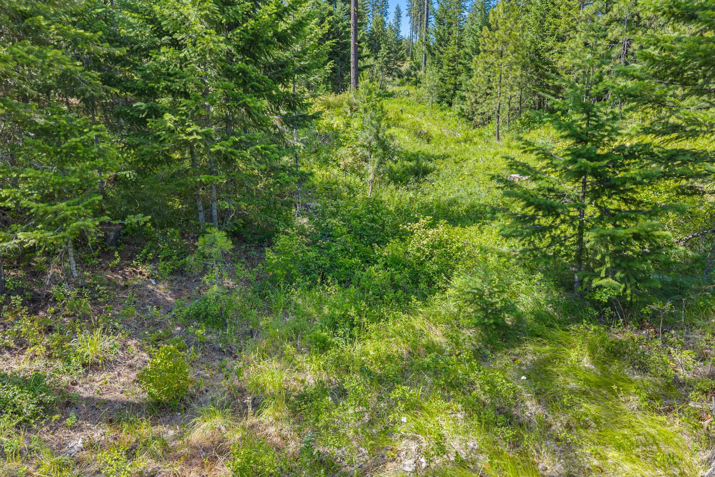 Nka East Belmont Road Mica, WA 99023 - Photo 26 of 50