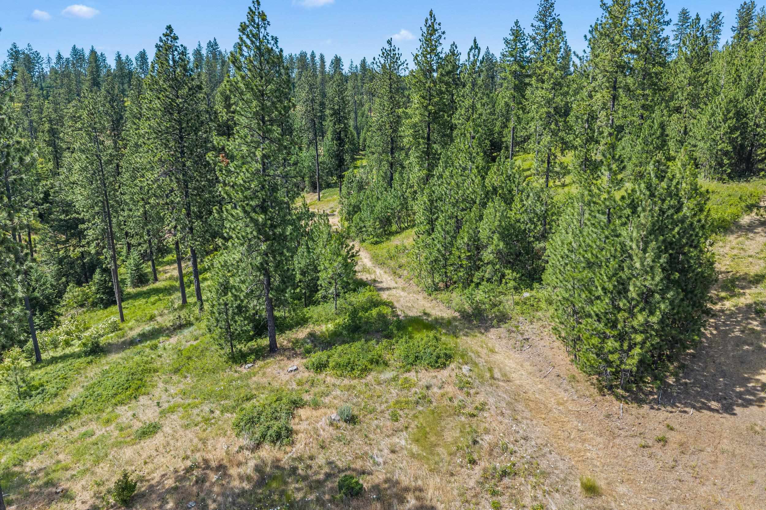 Nka East Belmont Road Mica, WA 99023 - Photo 28 of 50