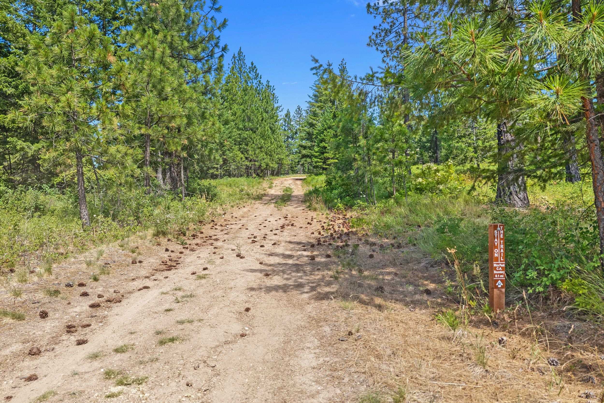 Nka East Belmont Road Mica, WA 99023 - Photo 29 of 50