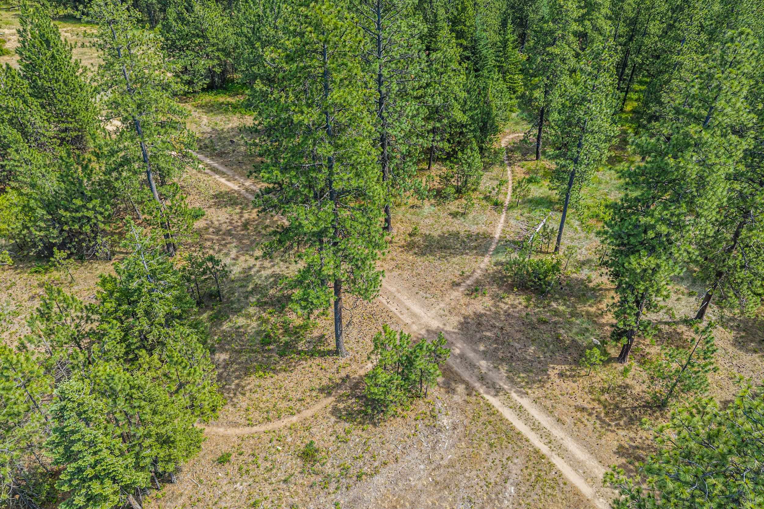 Nka East Belmont Road Mica, WA 99023 - Photo 30 of 50