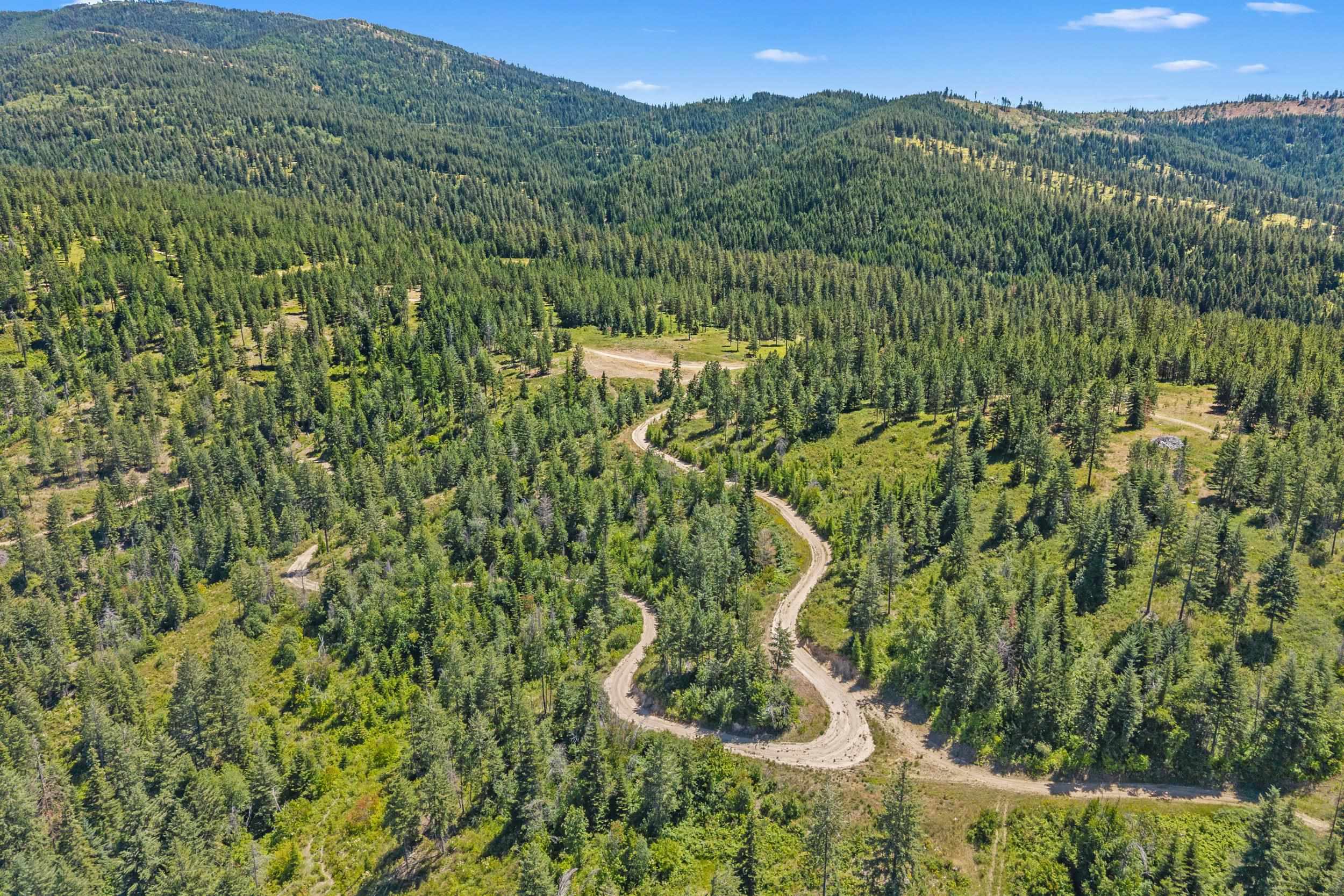 Nka East Belmont Road Mica, WA 99023 - Photo 33 of 50