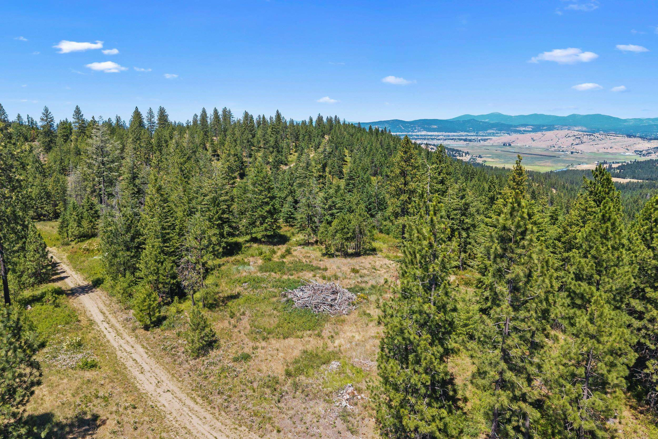 Nka East Belmont Road Mica, WA 99023 - Photo 34 of 50