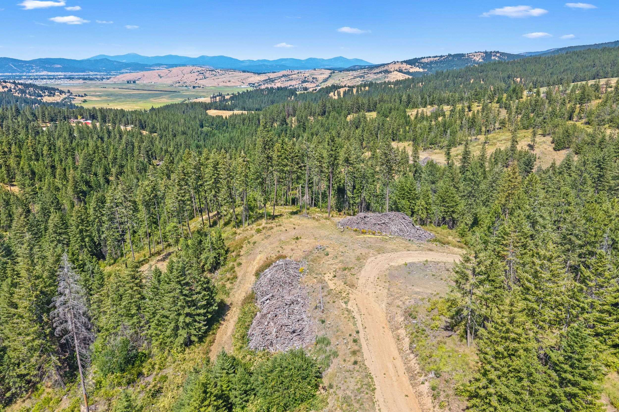 Nka East Belmont Road Mica, WA 99023 - Photo 37 of 50