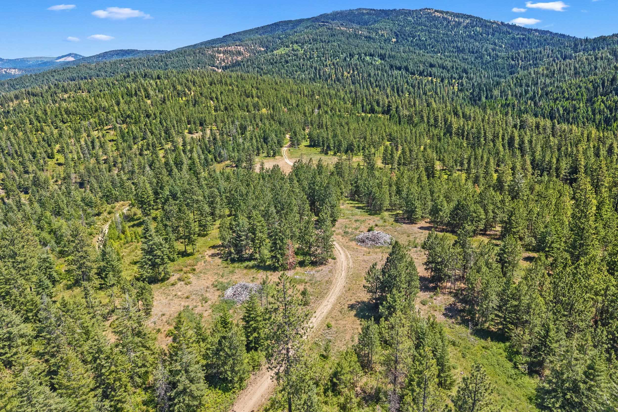 Nka East Belmont Road Mica, WA 99023 - Photo 39 of 50