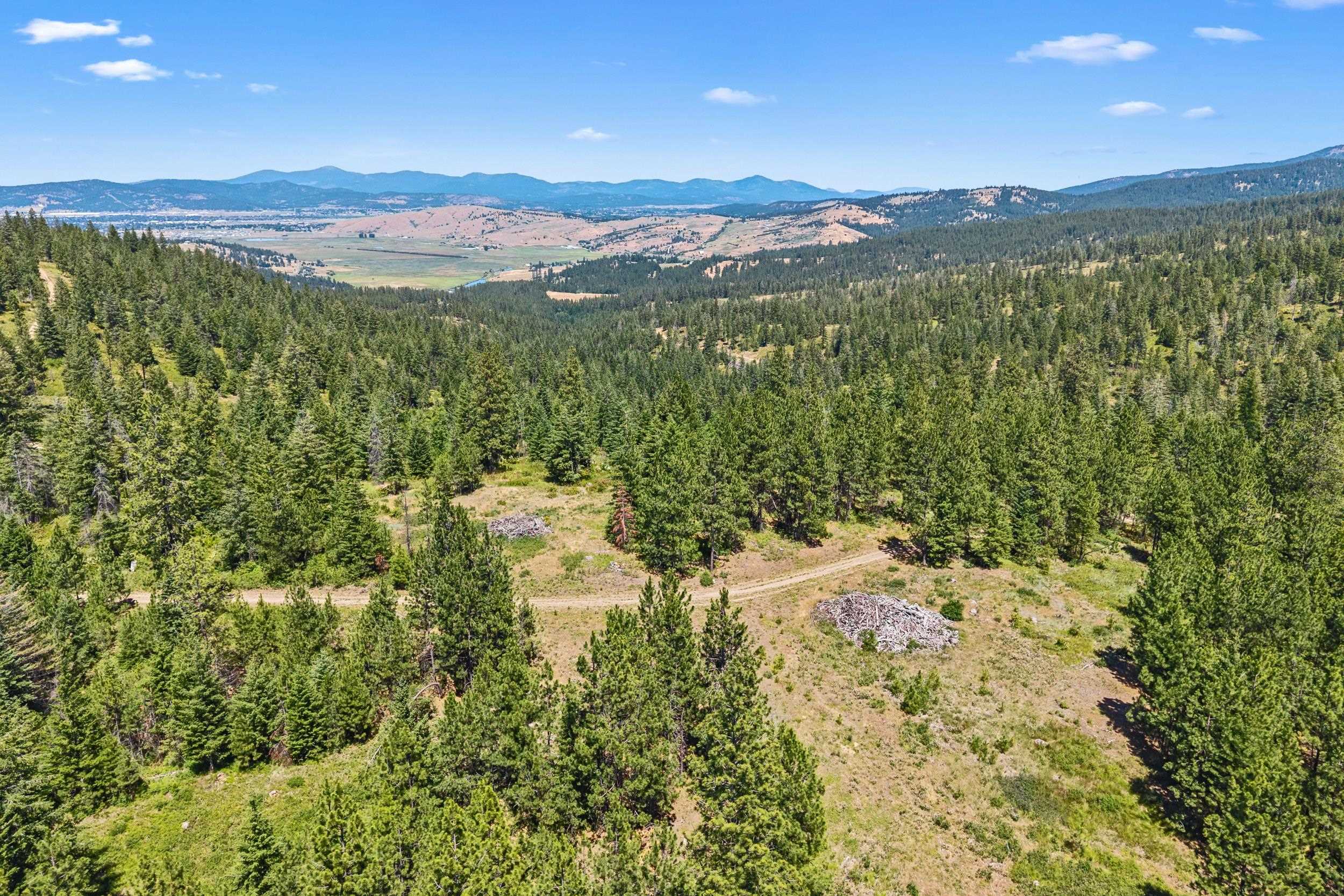 Nka East Belmont Road Mica, WA 99023 - Photo 40 of 50