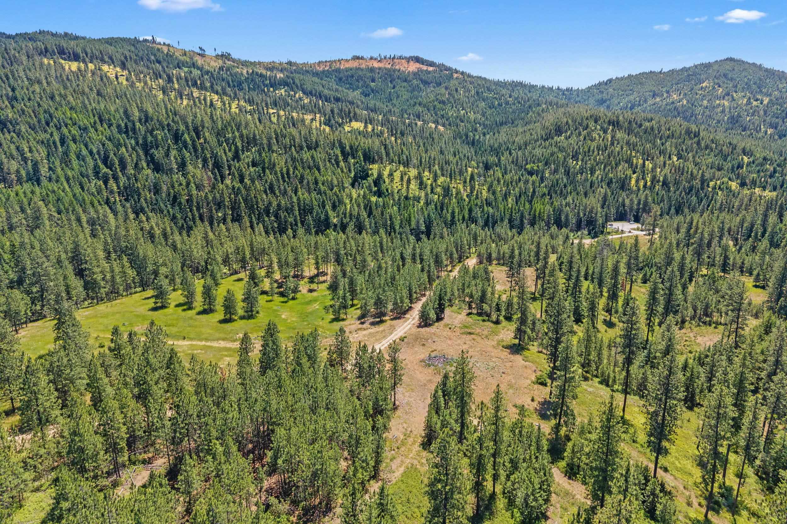 Nka East Belmont Road Mica, WA 99023 - Photo 41 of 50