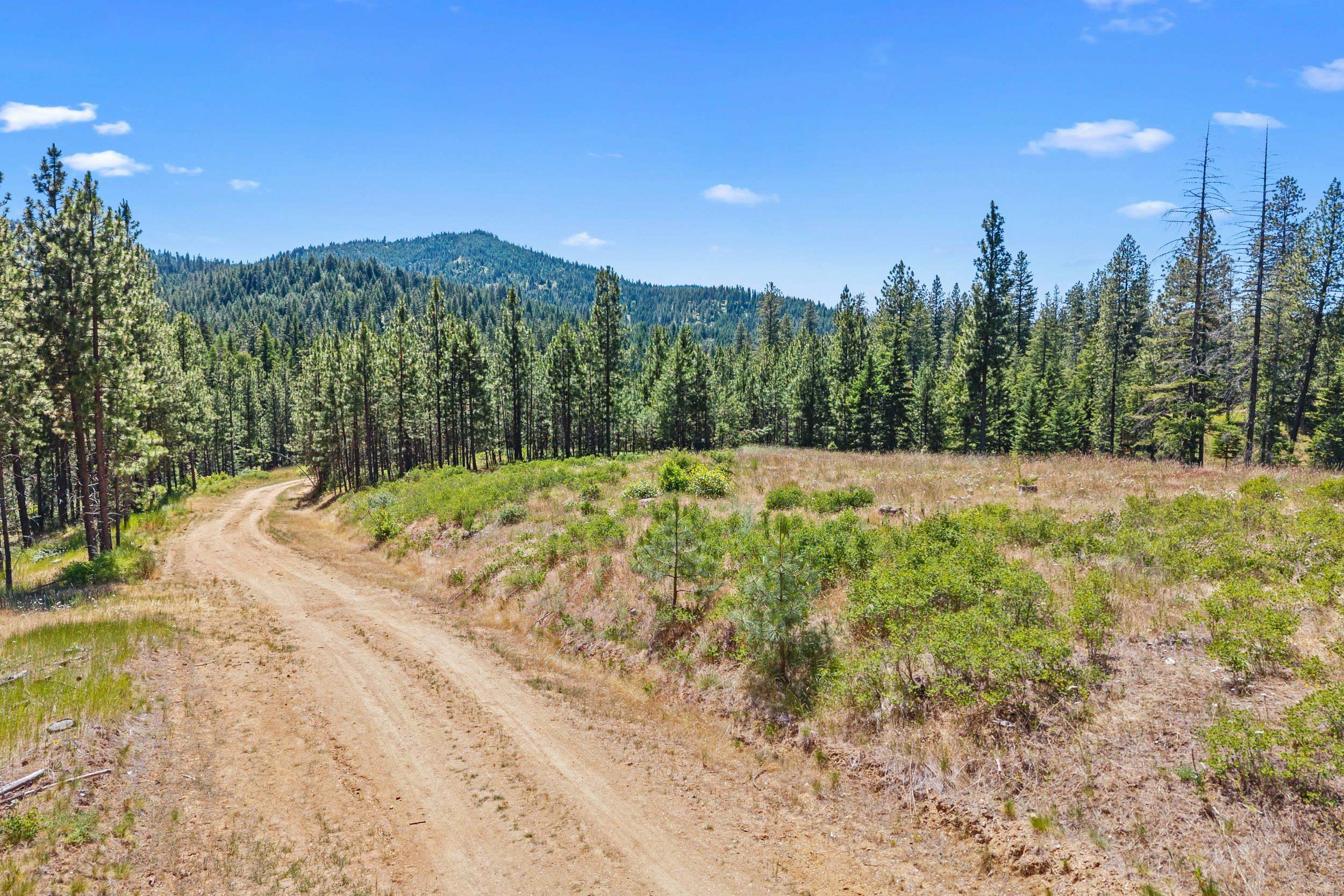 Nka East Belmont Road Mica, WA 99023 - Photo 43 of 50
