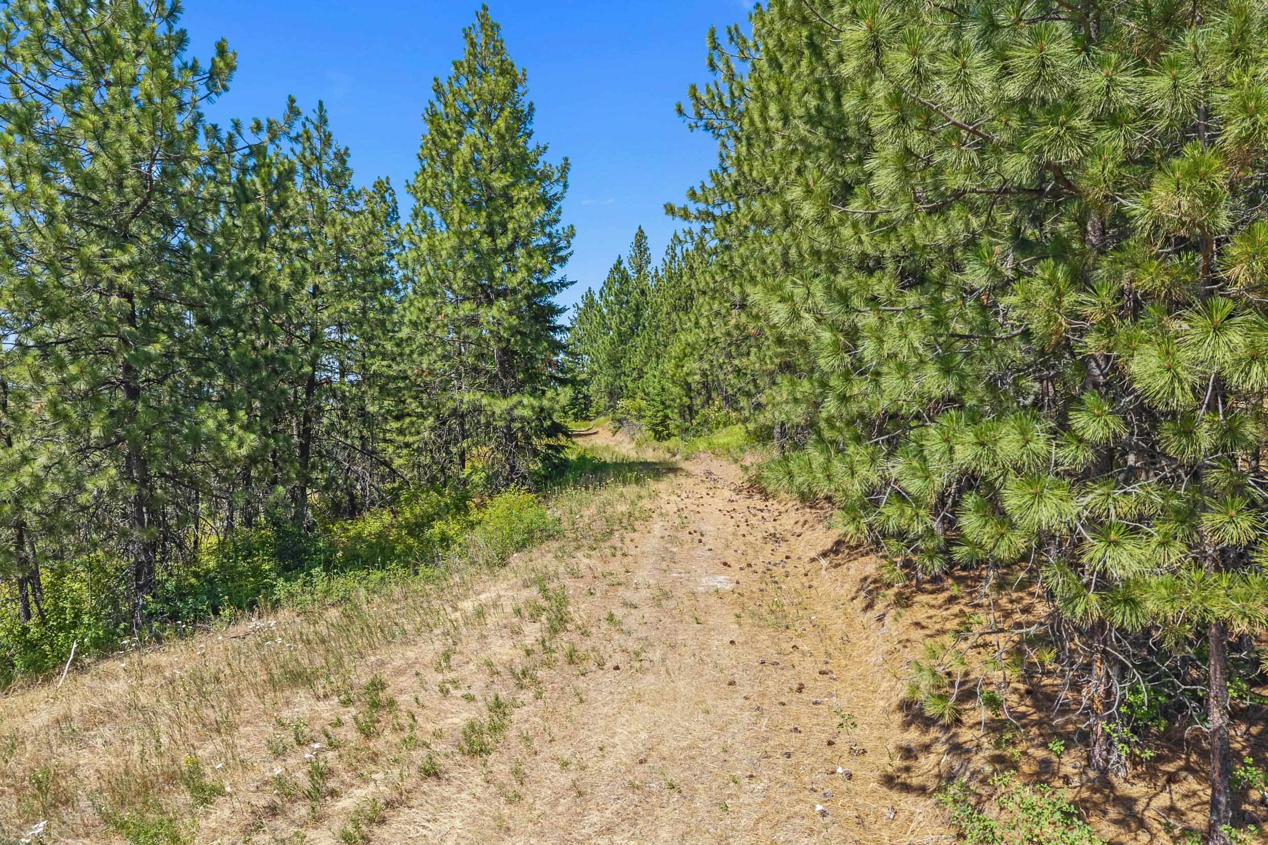 Nka East Belmont Road Mica, WA 99023 - Photo 44 of 50