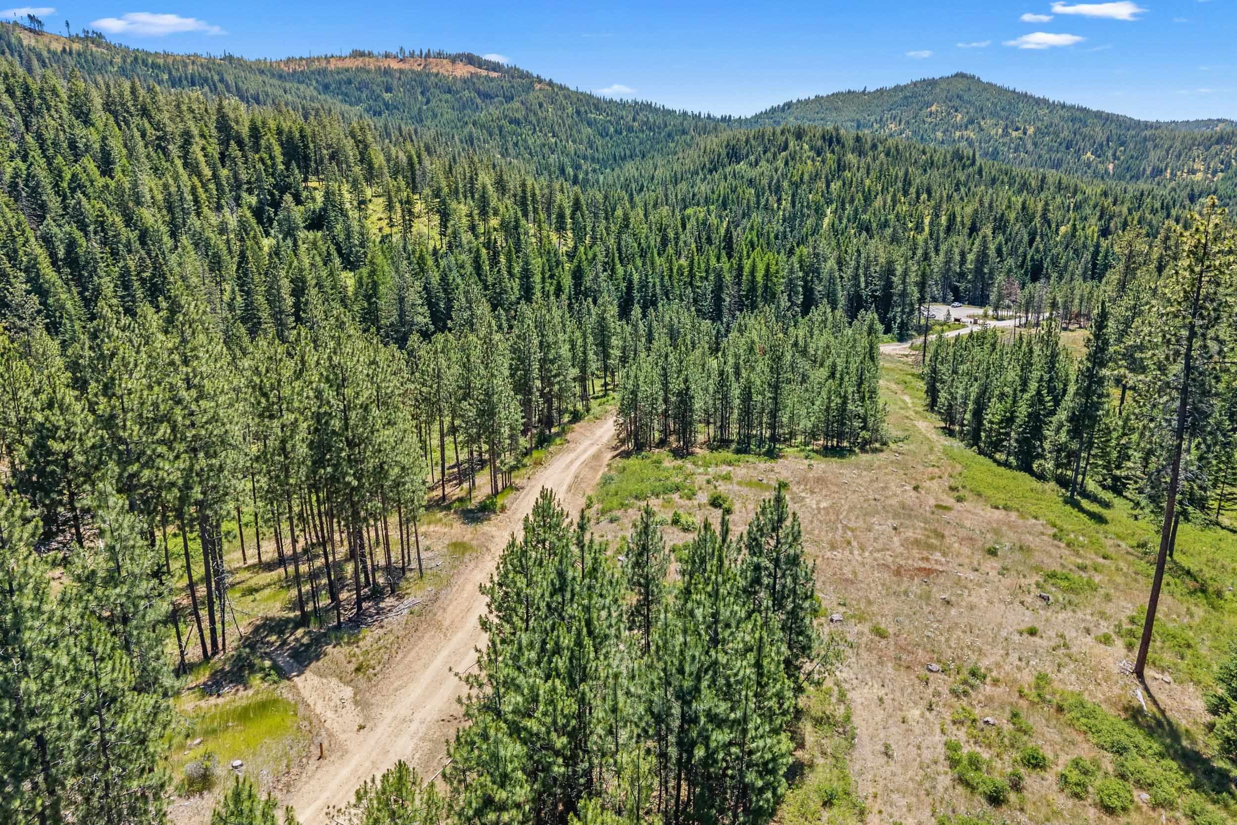 Nka East Belmont Road Mica, WA 99023 - Photo 45 of 50