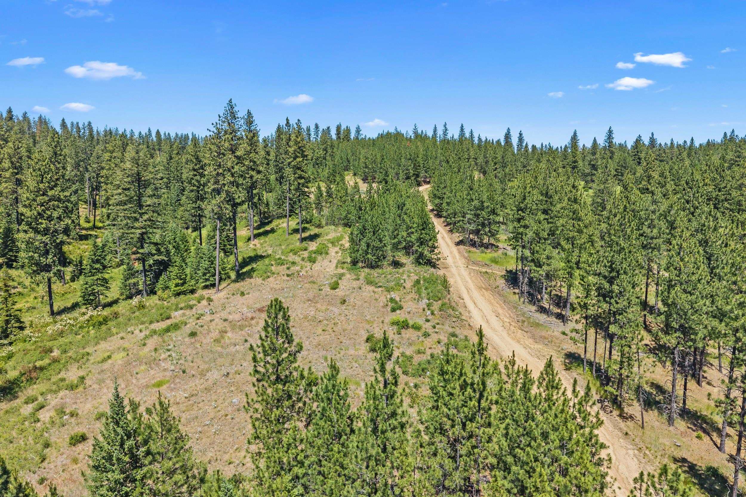 Nka East Belmont Road Mica, WA 99023 - Photo 46 of 50