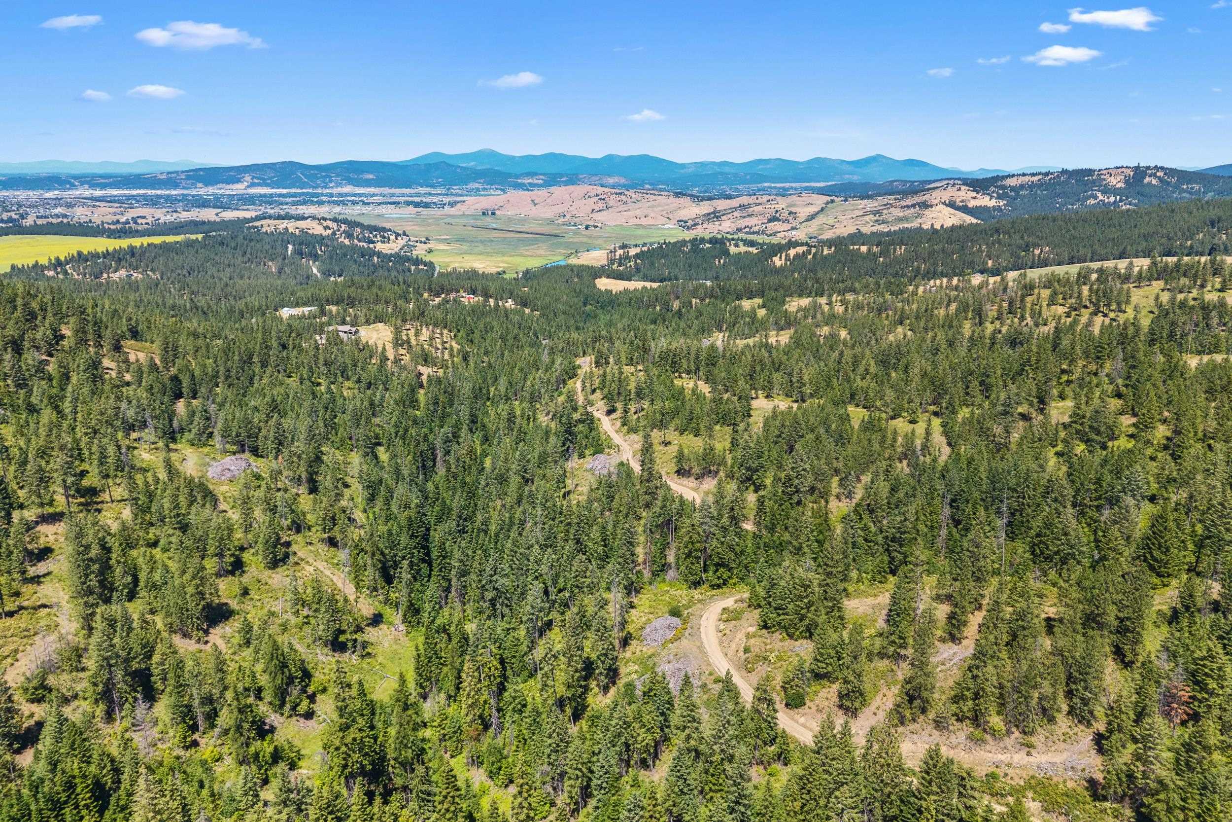 Nka East Belmont Road Mica, WA 99023 - Photo 47 of 50