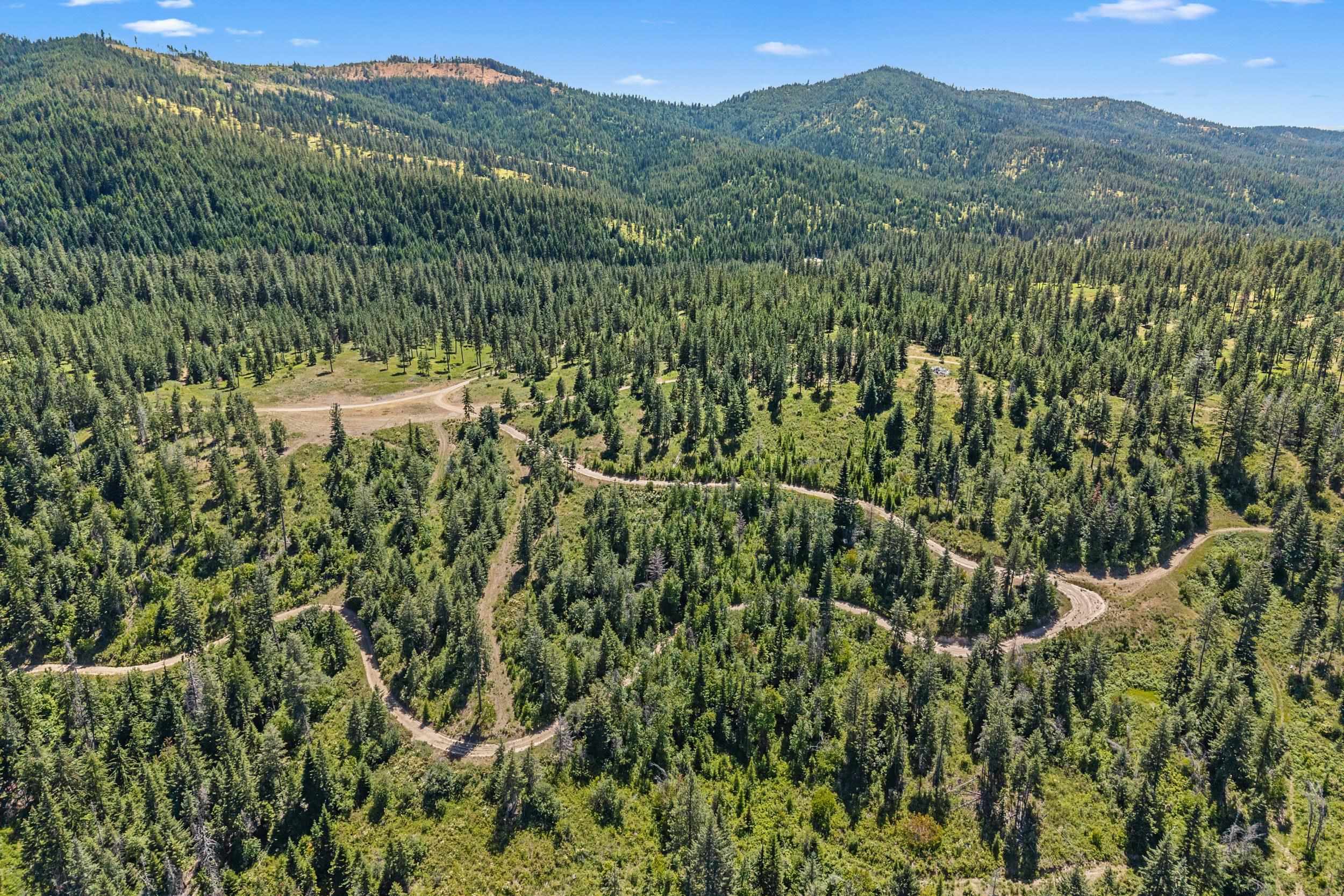 Nka East Belmont Road Mica, WA 99023 - Photo 48 of 50