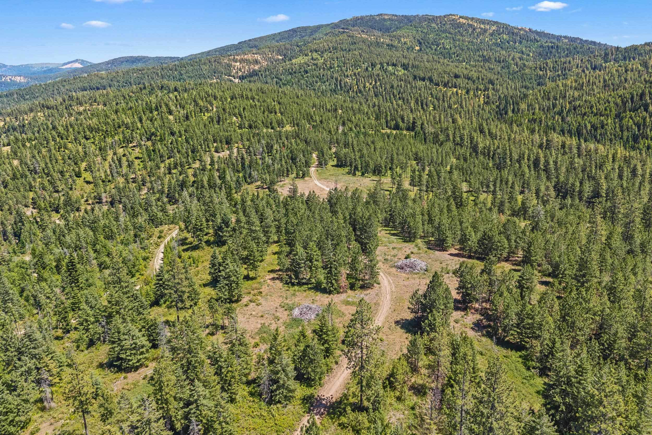 Nka East Belmont Road Mica, WA 99023 - Photo 49 of 50