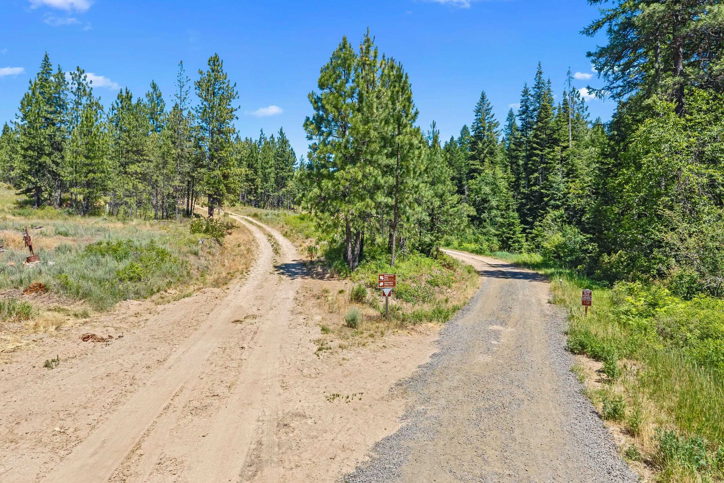 Nka East Belmont Road Mica, WA 99023 - Photo 8 of 50