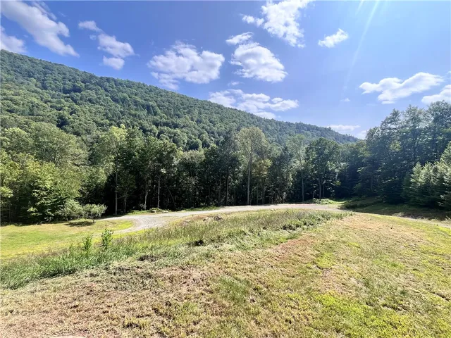 $1,250,000 | 201 County Road 134, Fremont, NY 12760