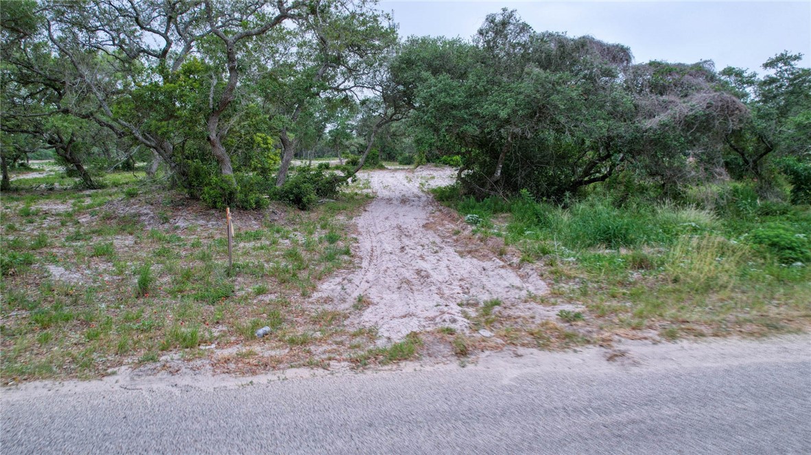 1493 4th Street Ingleside, TX 78362 - Photo 8 of 9 a view of a dirt road with trees in the background